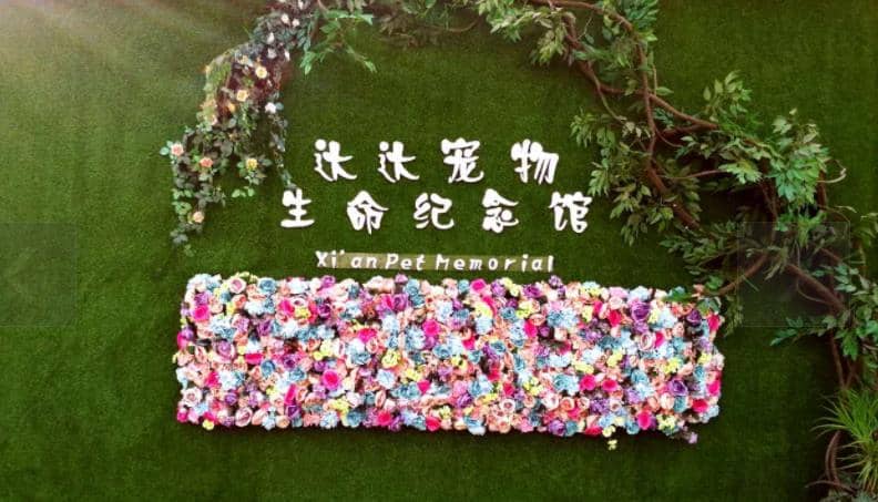 西安寵物墓地價格？西安寵物墓地在哪里？