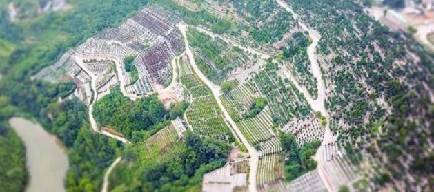 西安壽陽山公墓風(fēng)水極佳 價格實惠