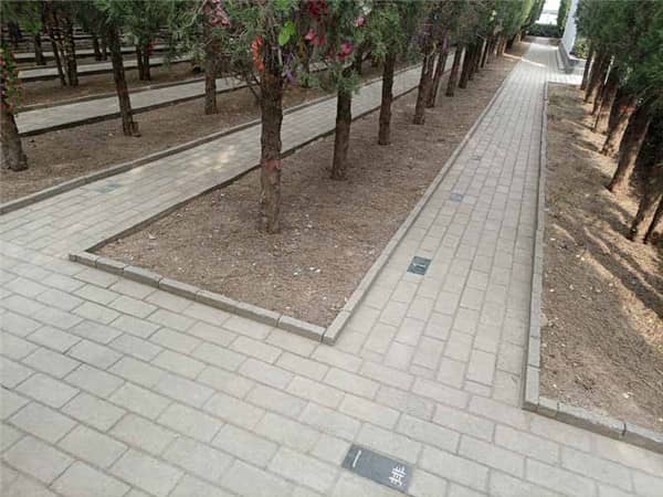 相比傳統墓葬,西安漢皇樹葬墓園在費用上有何優勢?