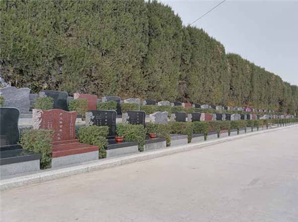 西安閻良漢皇樹葬墓園作為西安樹葬最成熟的墓園,有哪些優勢?