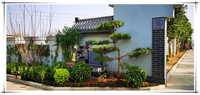 閻良漢皇陵樹葬墓園深度評測