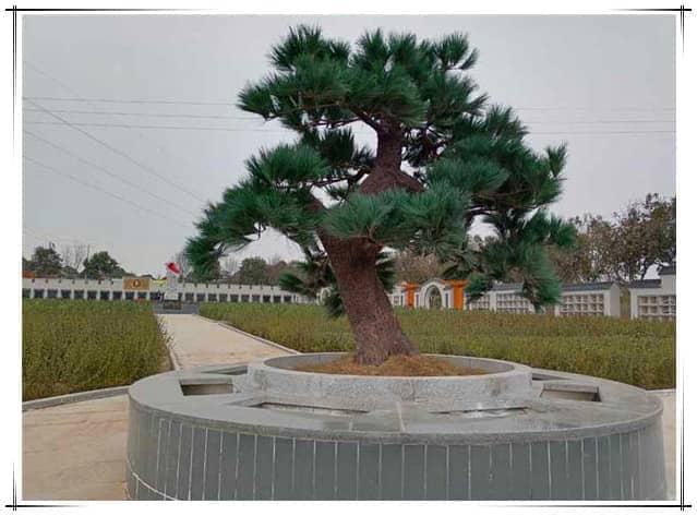 西安漢皇樹葬墓園的具體位置在哪里,其周邊環境如何?