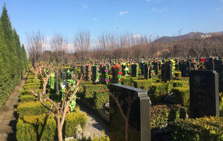 西安市臨潼區驪山骨灰墓園(西安市臨潼區斜口街辦張鐵村)