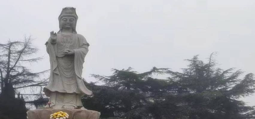 鳳棲山南區墓園,墓園價格優惠快來選!