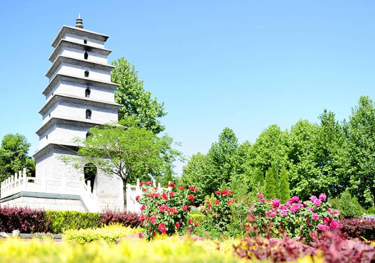 鳳棲山公墓的地理位置及環境優勢如何？