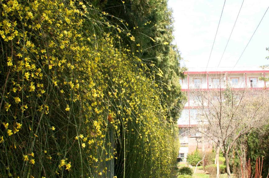 西安墓園鳳棲山公墓長安辦事處