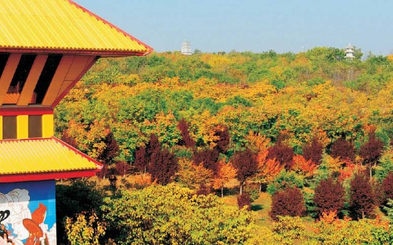 西安鳳棲山墓園公交乘坐737路或752路