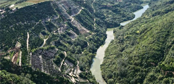 壽陽山公墓的園區規劃和服務設施如何,有哪些墓型可供選擇?