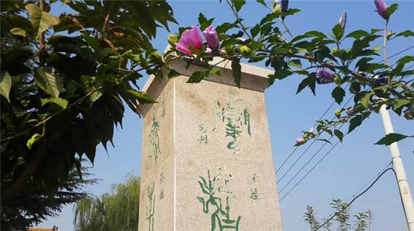 西安壽陽山墓園的單穴立碑和雙穴立碑有哪些特點?