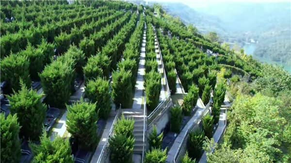 西安壽陽(yáng)山墓園交通 西安壽陽(yáng)山骨灰墓園