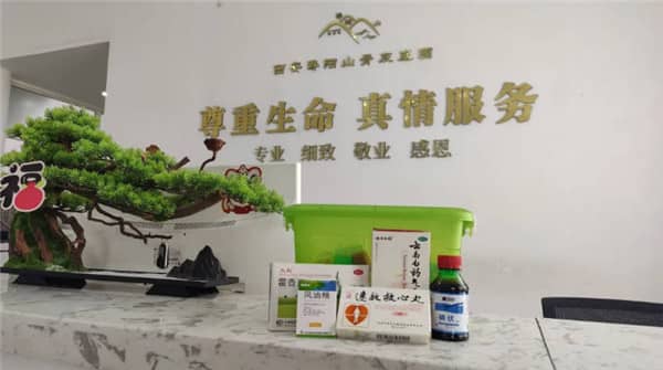 西安壽陽山墓園櫻花苑C區:優雅寧靜的安息之地