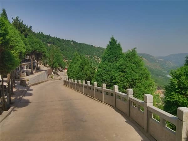 壽陽山墓園提供了哪些類型的墓地選擇,這些選擇分別適合哪些家庭?
