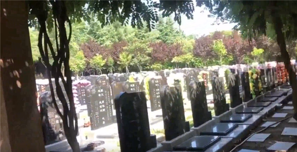 西安墓園排名壽陽山墓園,快來查看!