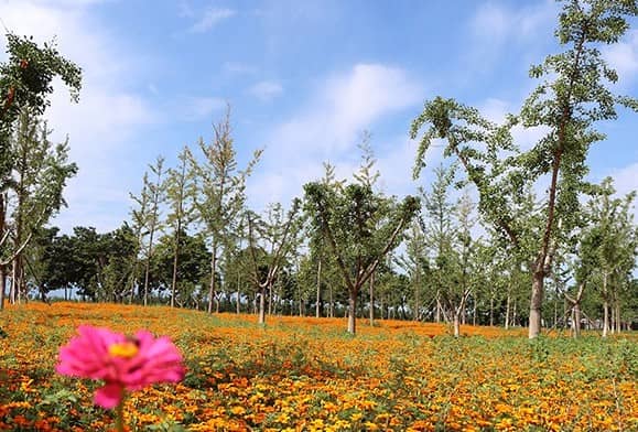 如何方便地前往西安壽陽山墓園?