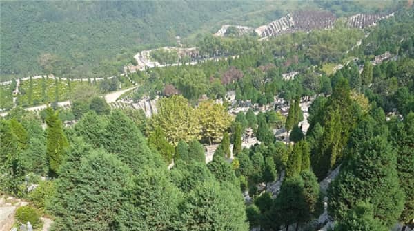 西安壽陽山墓園是否提供墓碑定制服務？