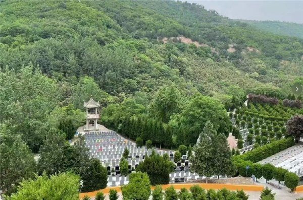 重陽節(jié)在西安壽陽山墓園有哪些特殊的紀念活動或儀式?