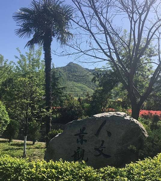 金南山陵園和慈恩園墓地分別位于西安的哪些區(qū)域，各自有哪些特色？