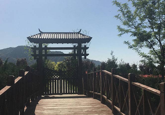 在長安慈恩園，如果我想要預(yù)訂墓地、安排骨灰安放或進(jìn)行安葬，應(yīng)該如何操作？