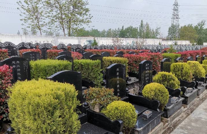 長安區(qū)棗園山生態(tài)人文紀念園的背景與特色是什么？
