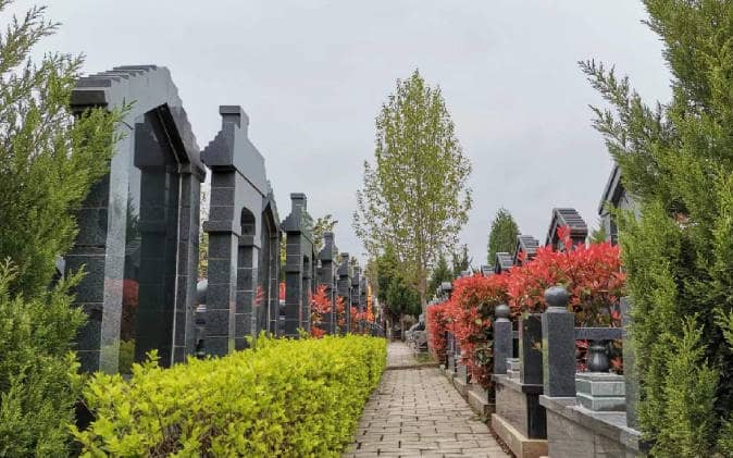 西安棗園山墓園掃墓車服務(wù)時間詳解：便捷出行，緬懷無憂