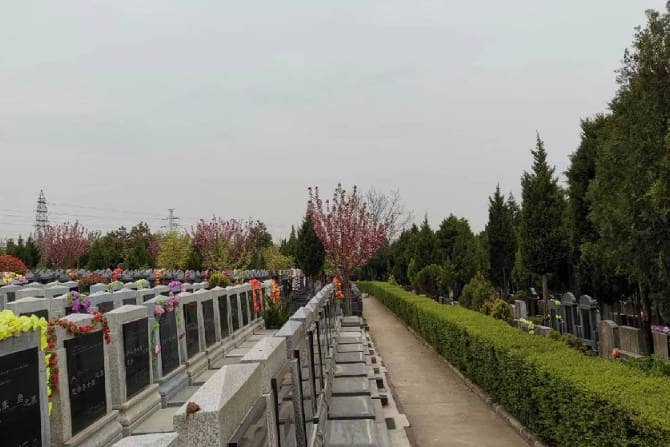 清明節期間，如何預約進入棗園山墓進行祭掃活動？