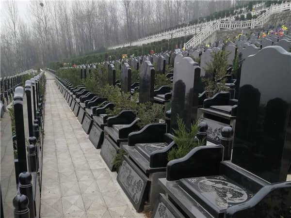 九龍山公墓是否提供骨灰寄存服務(wù)，如何辦理相關(guān)手續(xù)？