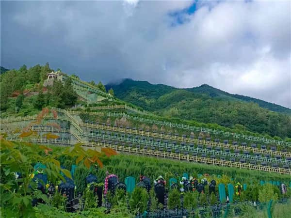西安九龍山公墓有哪些區域供市民選擇安葬?