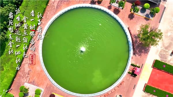 西安市霸陵墓園價位構成揭秘：專業咨詢，透明報價