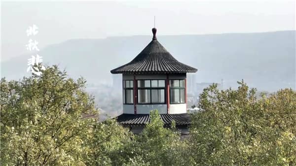 西安霸陵墓園新區(qū)深度解析:環(huán)境、文化、服務(wù)全方位評(píng)測(cè)