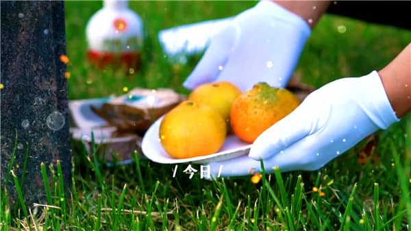西安霸陵墓園高端定制服務解析