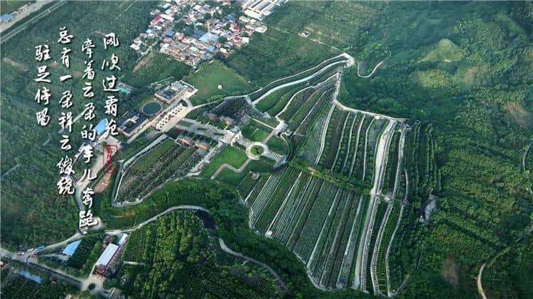 西安霸陵墓園咨詢電話，獲取西安霸陵墓園最新信息的官方渠道
