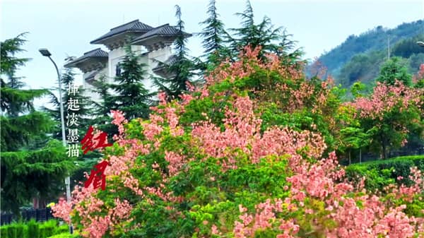 西安霸陵墓園在哪預約，選購攻略全面解讀！