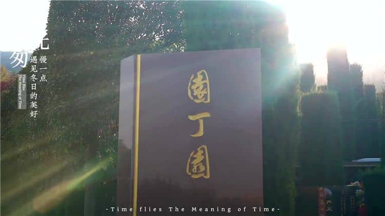 西安霸陵墓園分布圖詳解:地理位置與園區規劃
