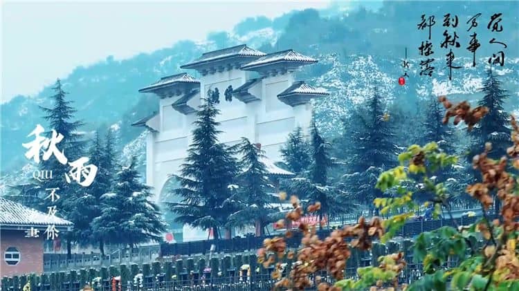 西安霸陵陵園提供的生態(tài)葬方式有哪些？