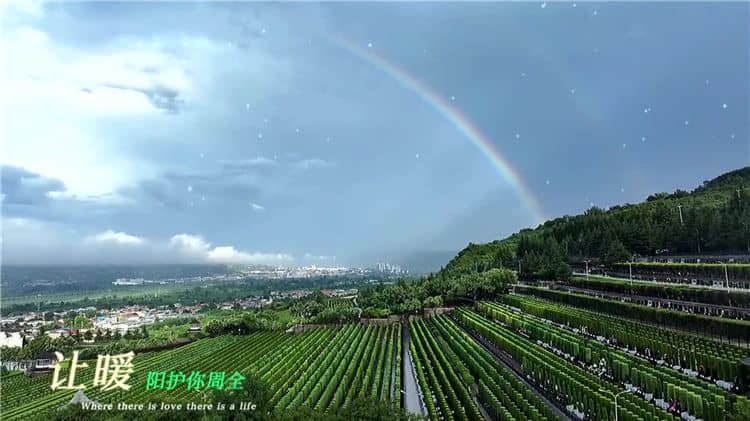 西安霸陵墓園新區的文化氛圍有何特點?