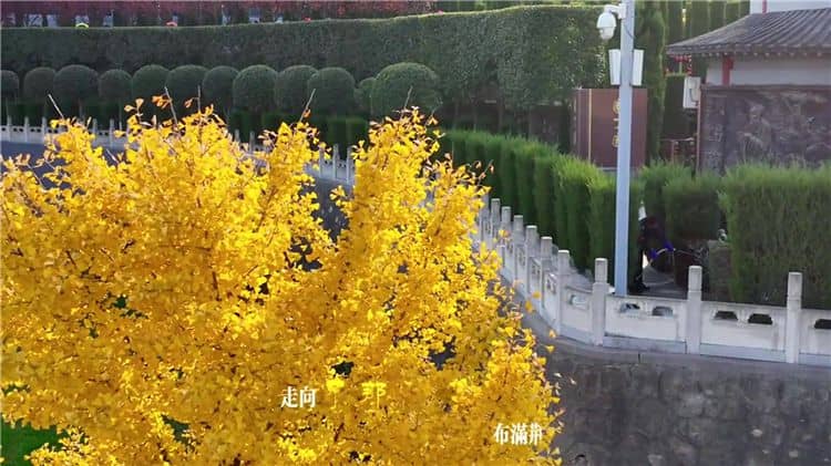 西安霸陵墓園未來有哪些發(fā)展規(guī)劃和愿景？