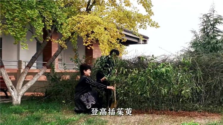 霸陵墓園新區的價格貴嗎