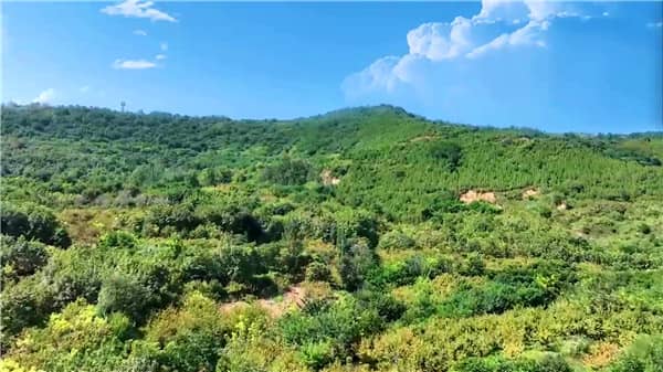 西安市霸陵墓園電話(huà)多少,真情陪伴