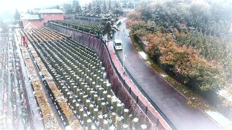 西安霸陵公墓提供哪些交通服務來方便家屬和訪客?