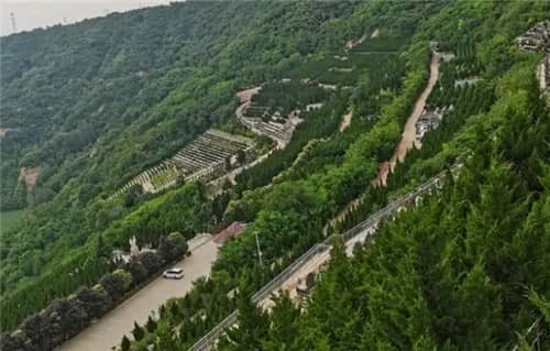 西安高橋墓園的價格是否包含墓地清潔和維護服務？