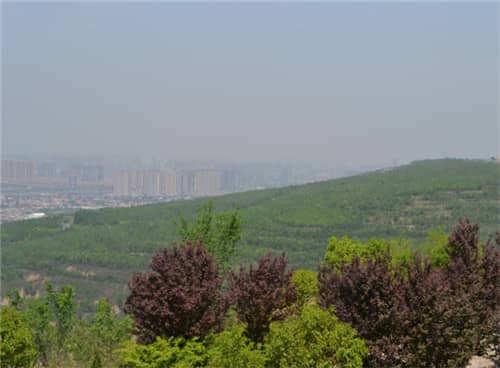 如何便捷地前往灞橋高橋墓園?