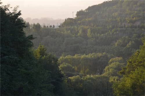 西安高橋墓園情況,家園的延續