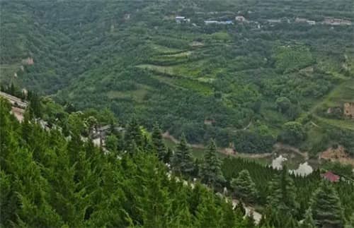 西安市高橋骨灰墓園:自然與人文的完美融合之地