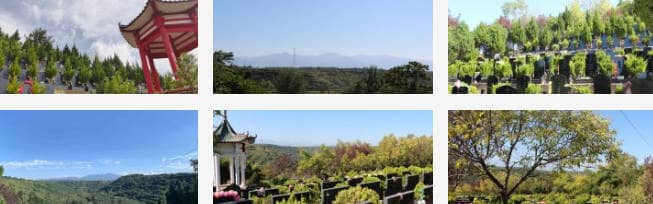 西安白鹿原公墓園區(qū)內(nèi)嚴禁燒紙