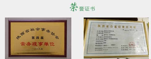 西安鳳凰嶺公墓在清明期間有哪些特別的活動或安排?