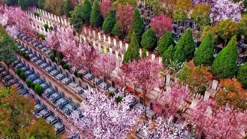西安墓園價位因地而異，服務因人而異