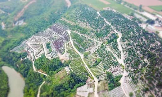 在選擇西安市的殯儀服務機構時,家屬應關注哪些方面以確保服務質量?