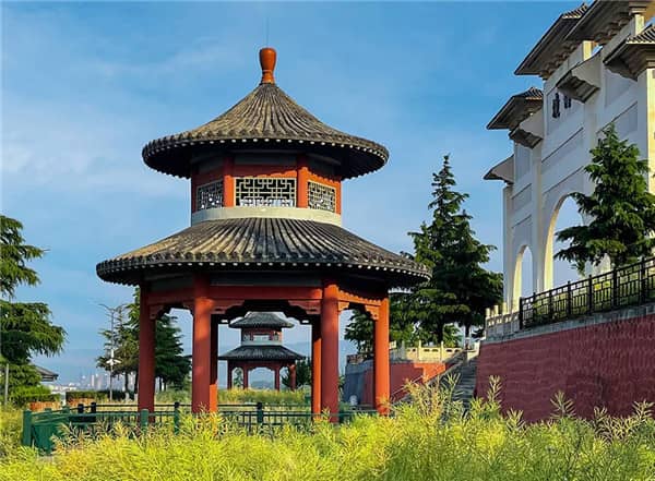 西安公墓選擇時，為什么植物過于茂盛的墓地需要謹慎考慮？