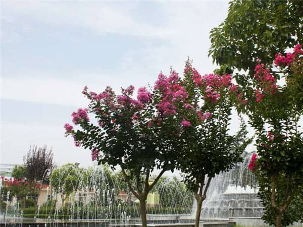 西安陵園墓地的環境對家族運勢有何影響?