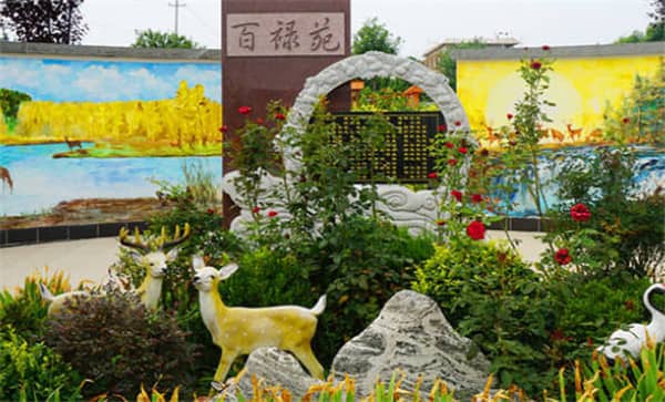 西安的樹葬墓園在推廣綠色殯葬方面有哪些舉措？